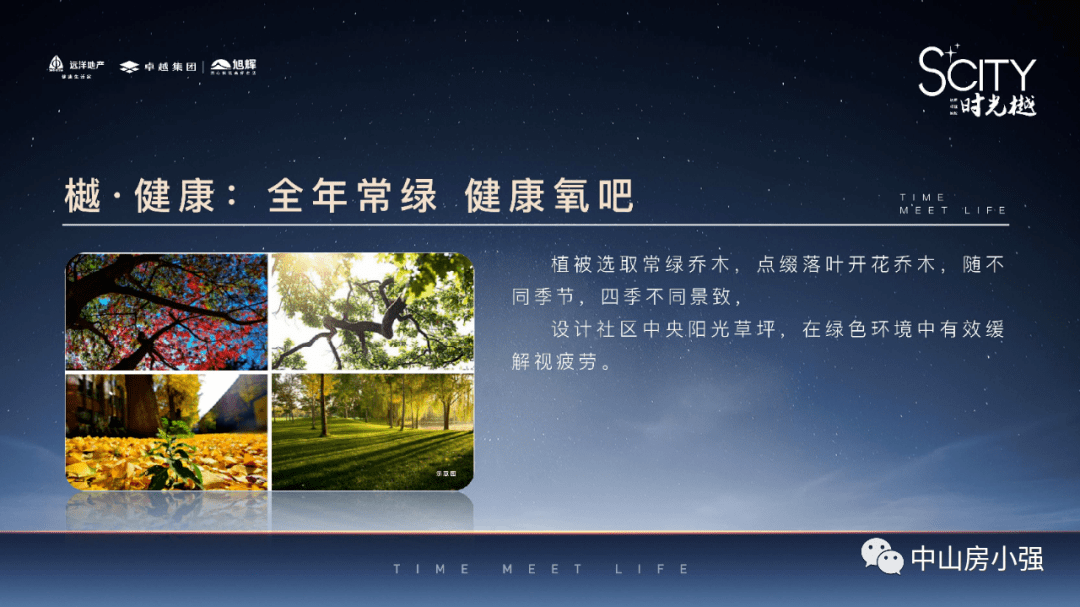 洞朗事件最新消息，進(jìn)展與影響分析
