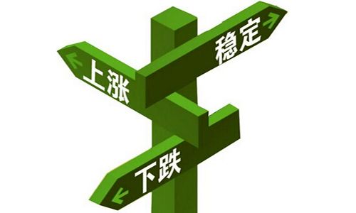 揭秘精準一肖，揭秘背后的秘密與真相，真正實現(xiàn)百分百免費預測