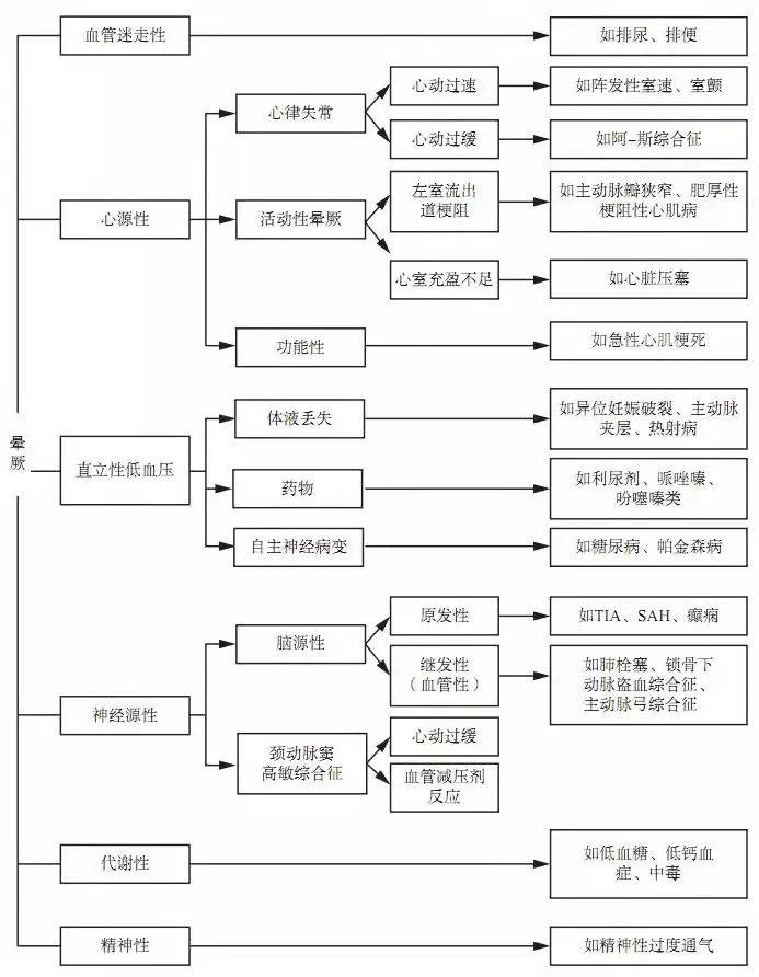 澳門100%最準(zhǔn)一肖，探索背后的神秘與魅力
