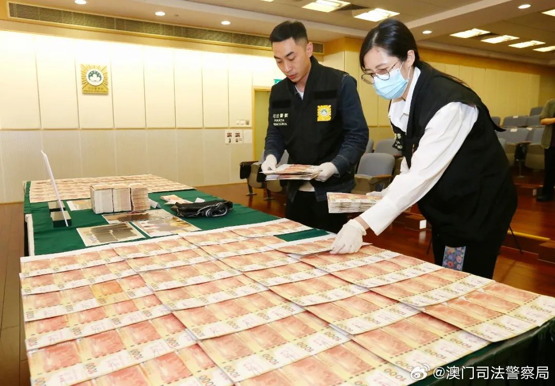 澳門天天六開彩正版免費大全，警惕背后的犯罪風險