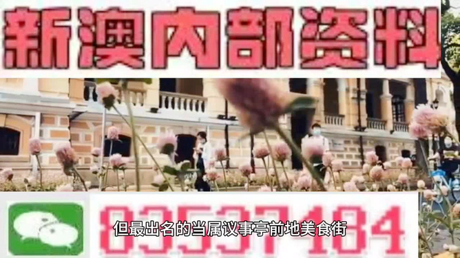 關(guān)于2024新澳資料免費精準(zhǔn)17期的違法犯罪問題探討
