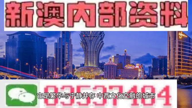 新澳門(mén)免費(fèi)資料大全正版閱讀，探索與體驗(yàn)