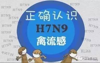 香港H7N9最新消息2017，流感監(jiān)測與防控進(jìn)展